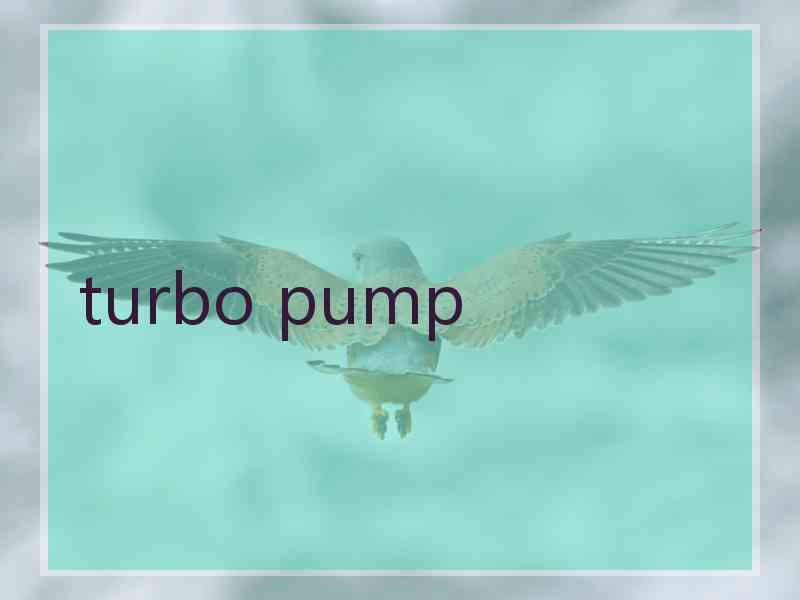 turbo pump