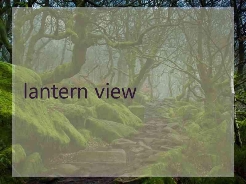 lantern view