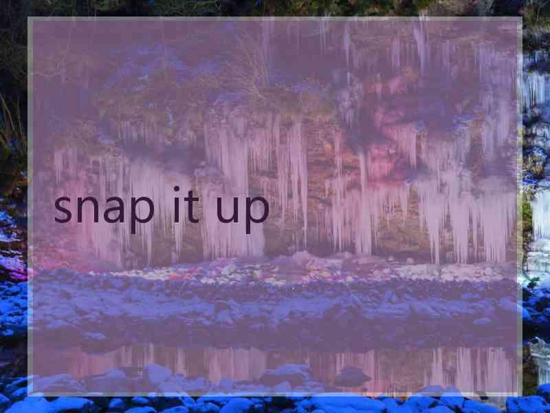 snap it up