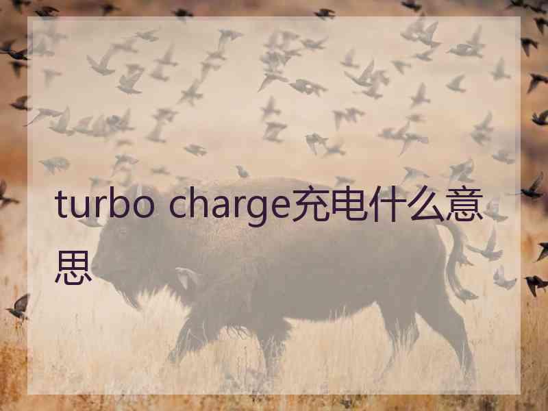 turbo charge充电什么意思
