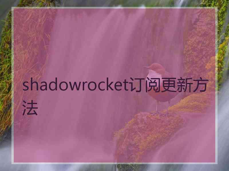 shadowrocket订阅更新方法