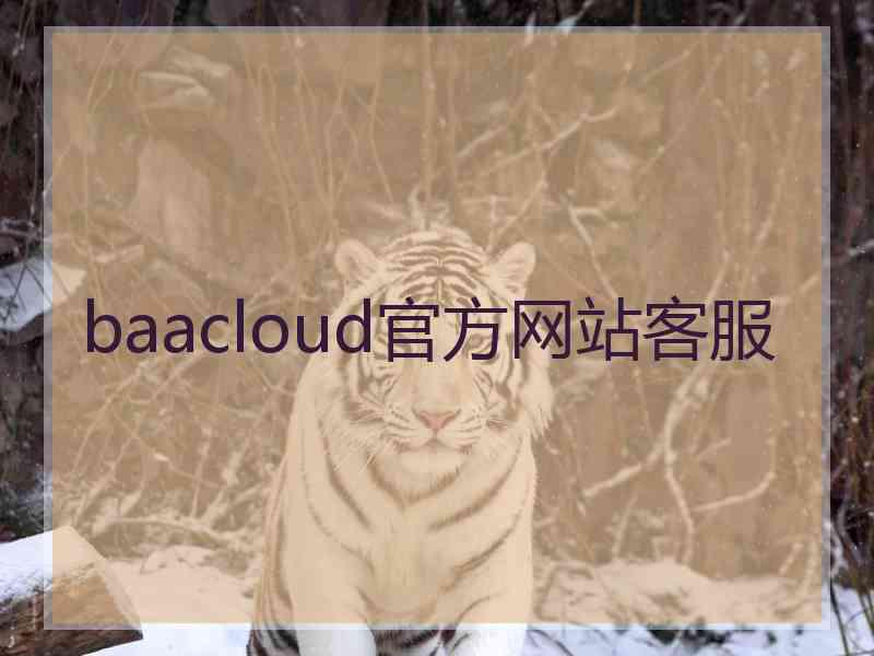 baacloud官方网站客服