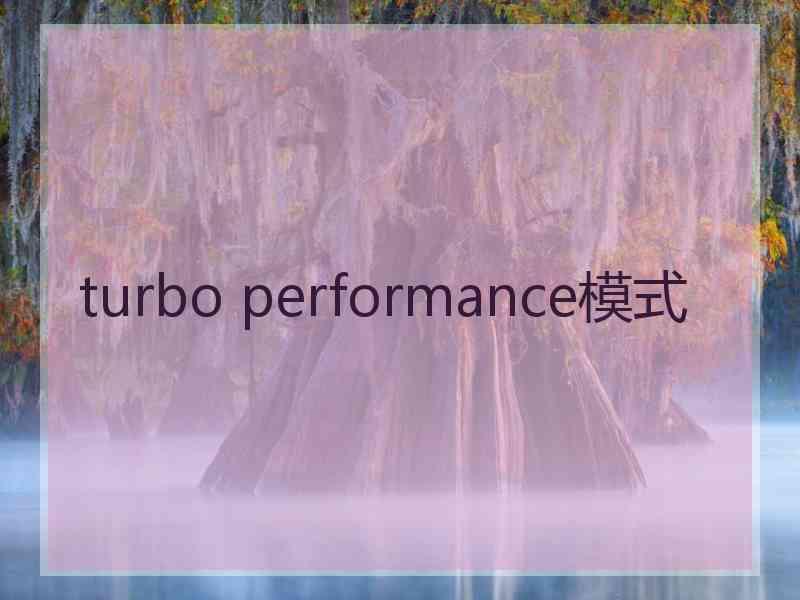 turbo performance模式
