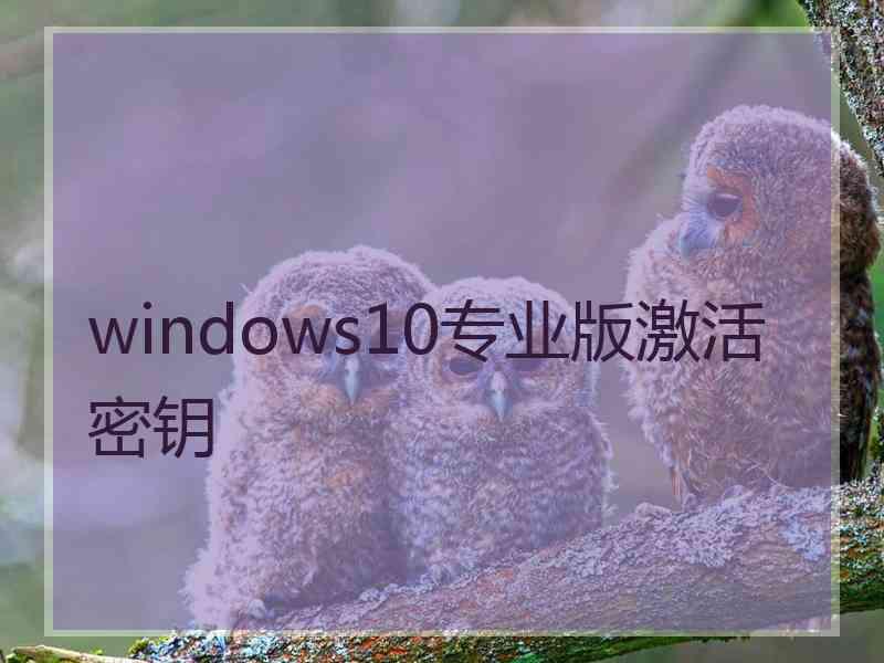 windows10专业版激活密钥