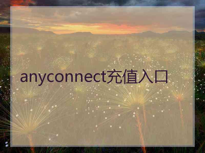 anyconnect充值入口