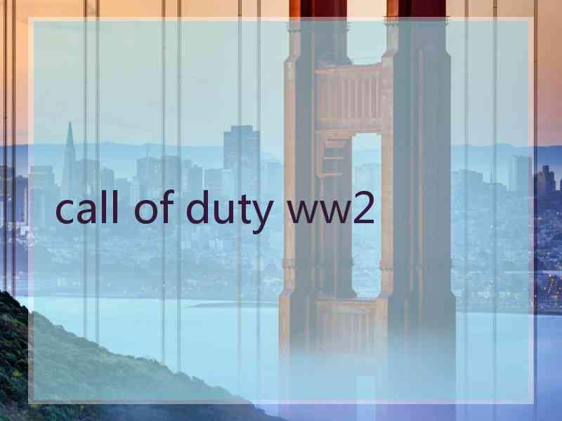 call of duty ww2