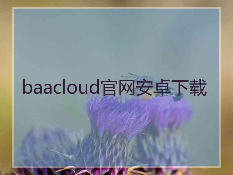 baacloud官网安卓下载