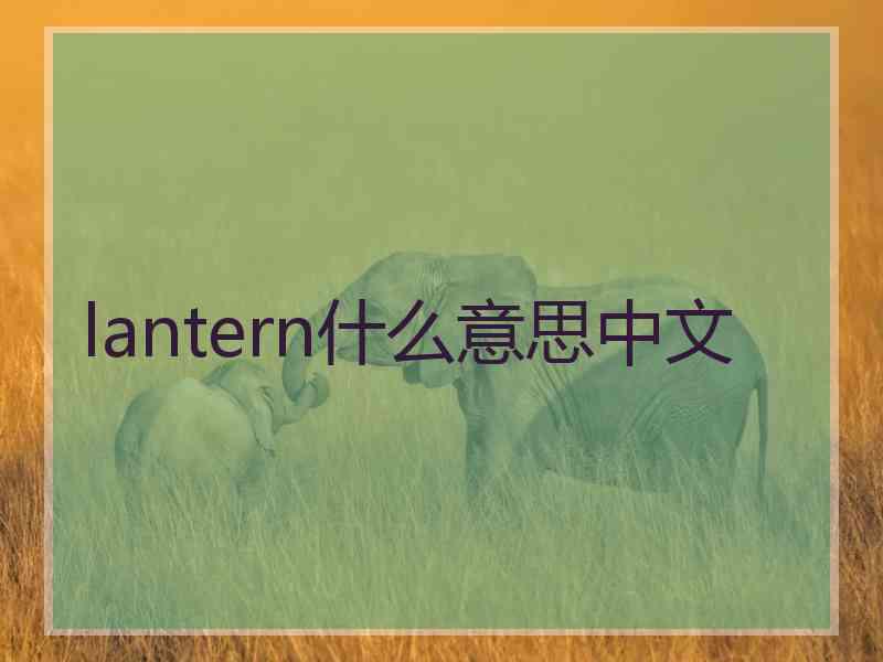 lantern什么意思中文