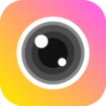 beelive vpn