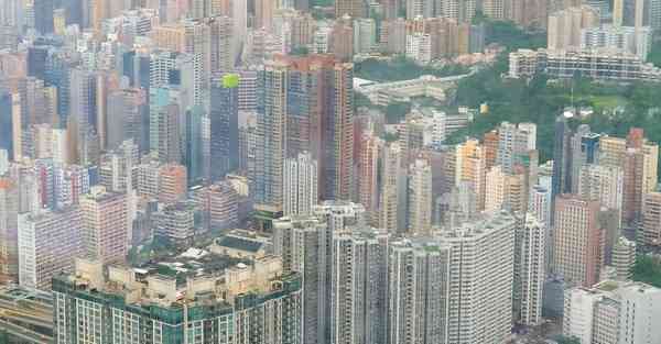 免费爬梯软件