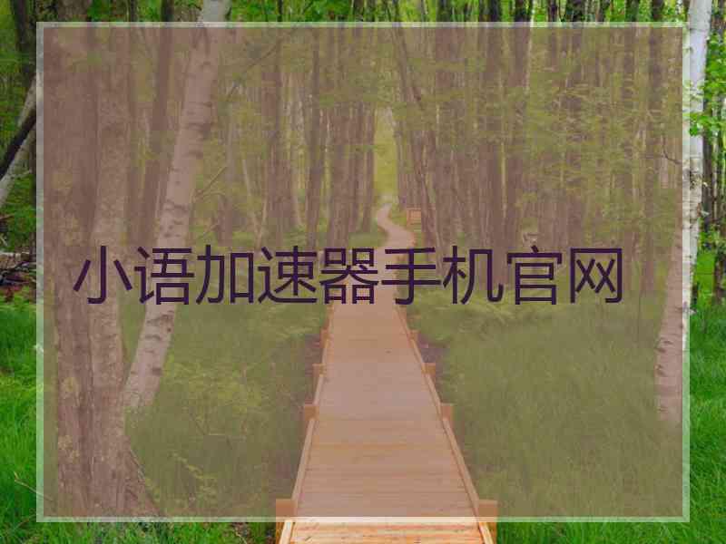 小语加速器手机官网