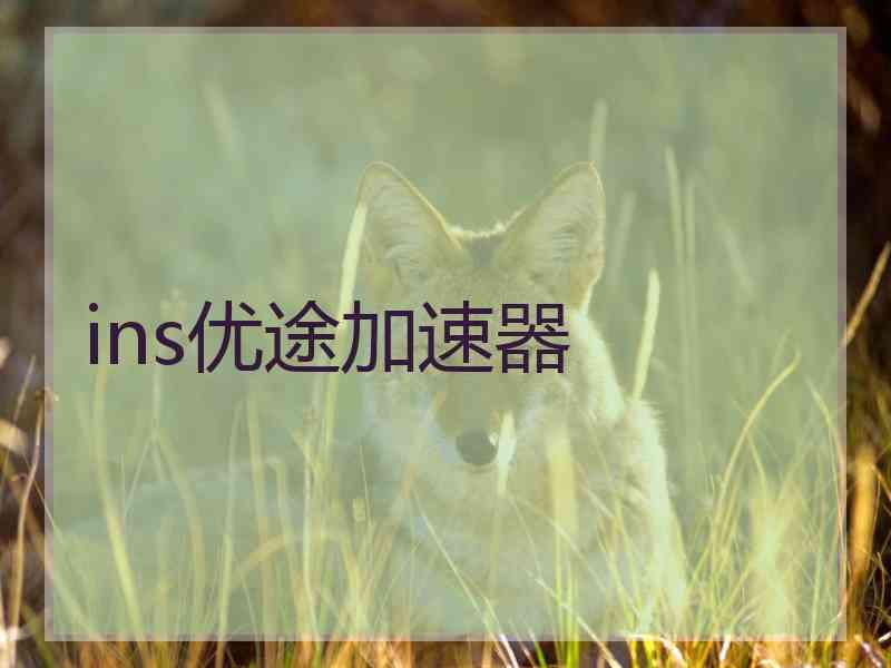 ins优途加速器