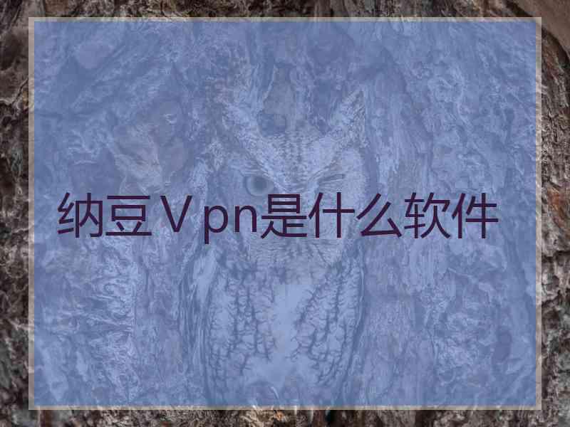 纳豆Ⅴpn是什么软件