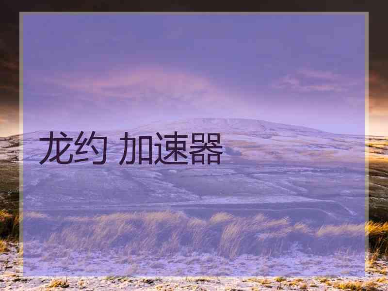 龙约 加速器