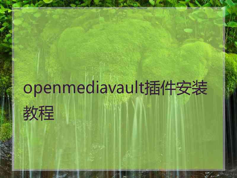 openmediavault插件安装教程