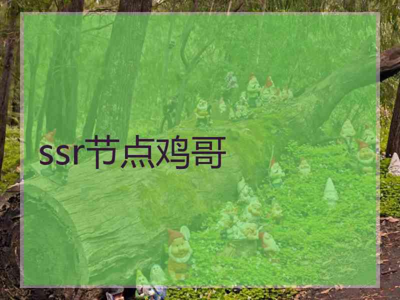 ssr节点鸡哥