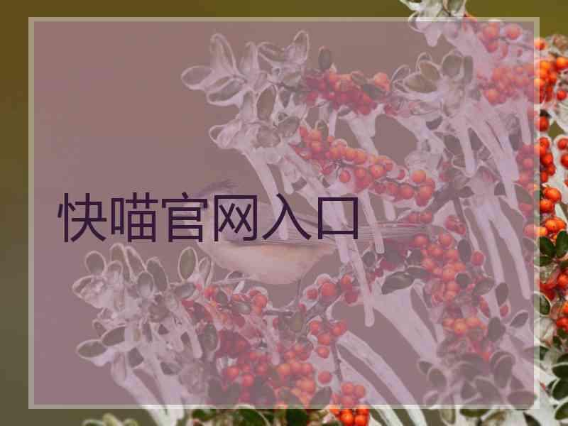 快喵官网入口