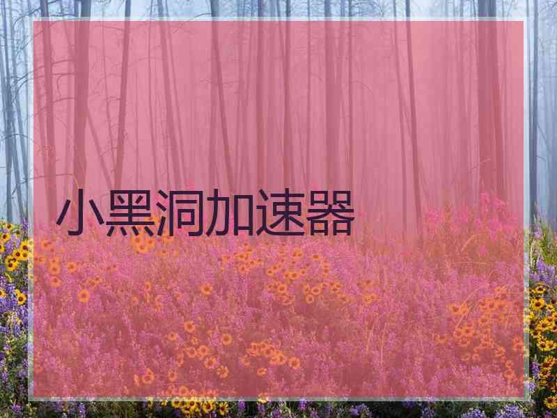 小黑洞加速器