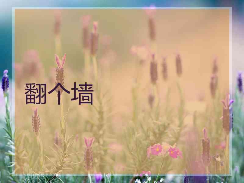 翻个墙