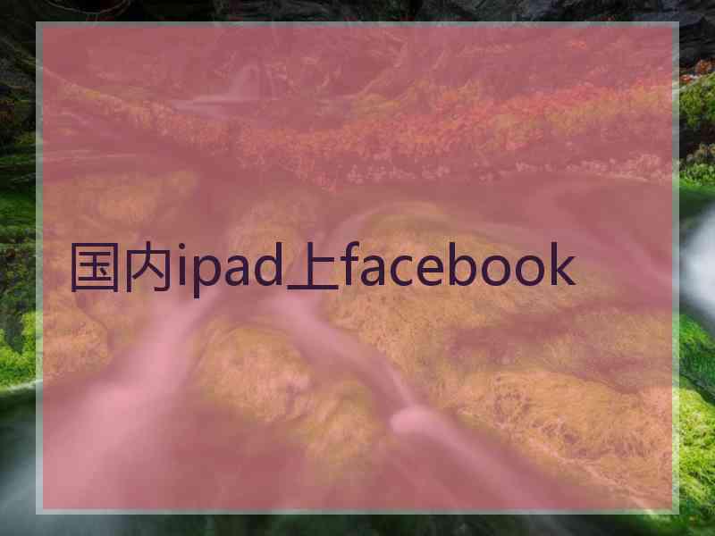 国内ipad上facebook