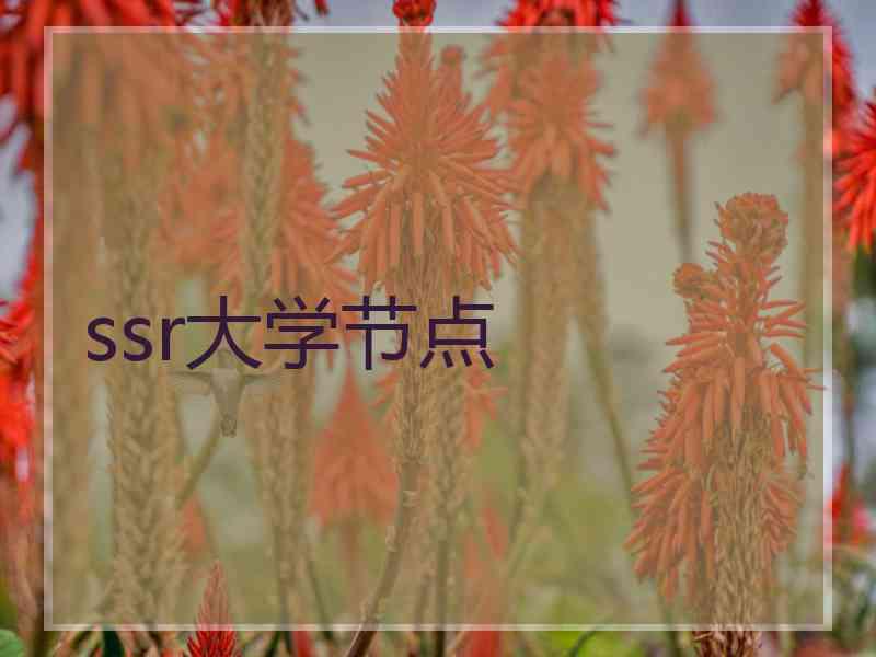 ssr大学节点