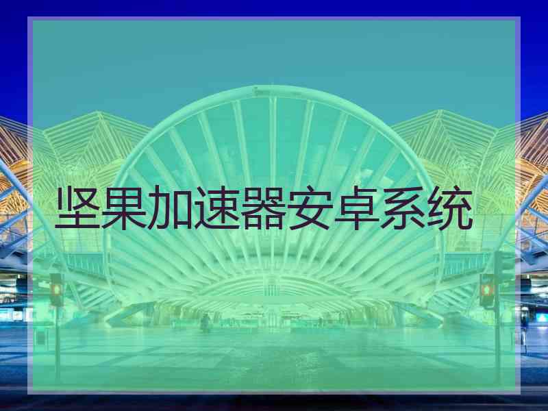 坚果加速器安卓系统