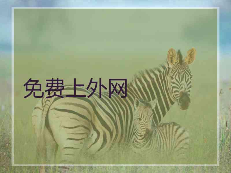 免费上外网