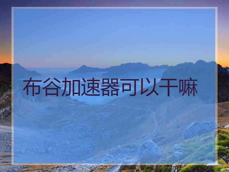 布谷加速器可以干嘛