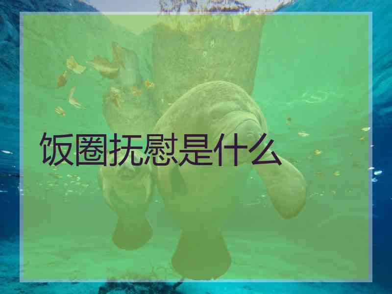 饭圈抚慰是什么