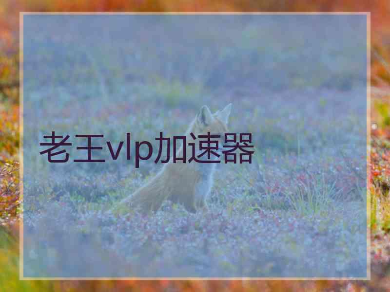 老王vlp加速器