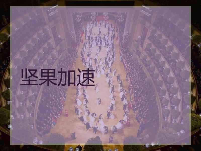 坚果加速