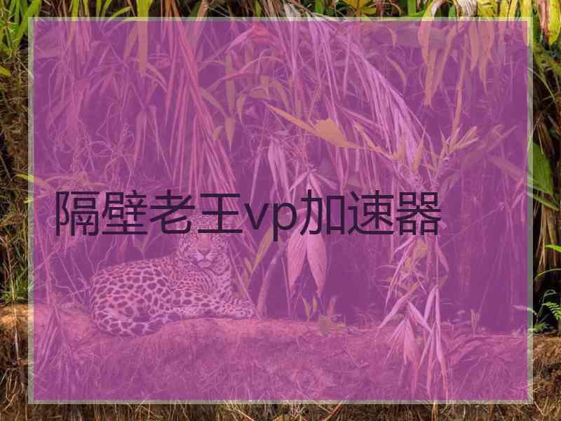 隔壁老王vp加速器