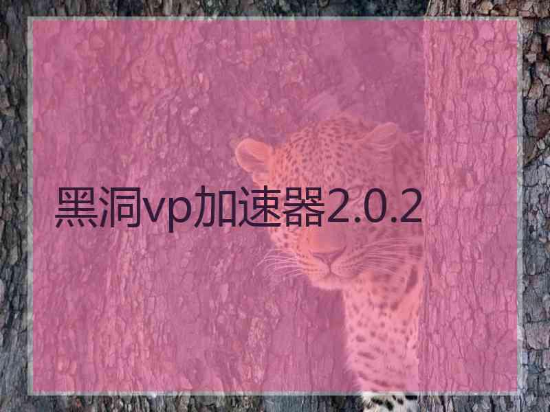 黑洞vp加速器2.0.2