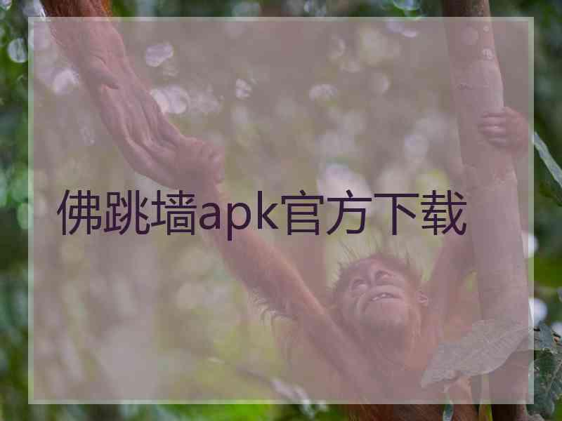 佛跳墙apk官方下载